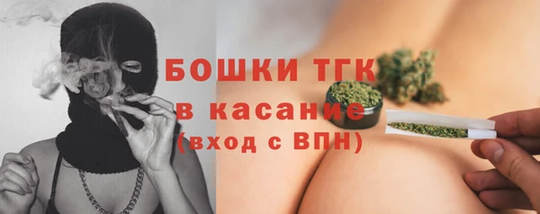 стаф Осташков