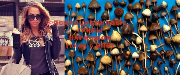 стаф Осташков