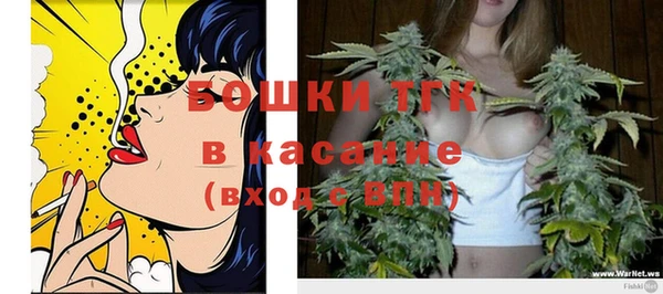 стаф Осташков