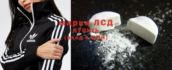 стаф Осташков