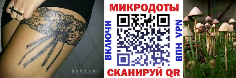 ссылка на мегу ссылки  Константиновск  Псилоцибиновые грибы Cubensis 